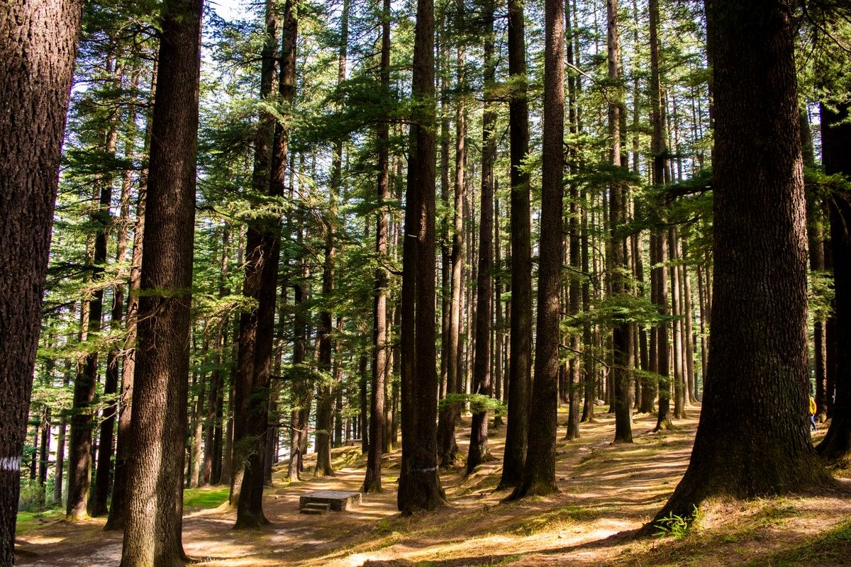Manali